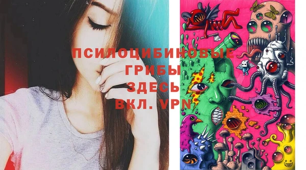 круглые Арсеньев