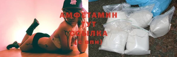 молекула духа Балахна