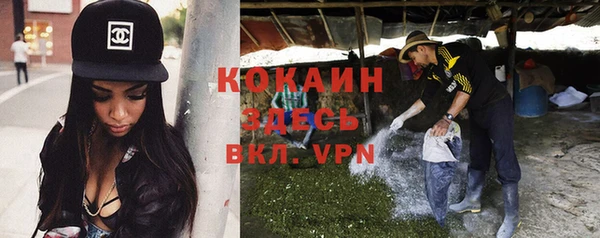 молекула духа Балахна