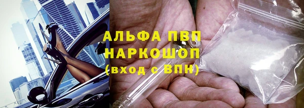 молекула духа Балахна