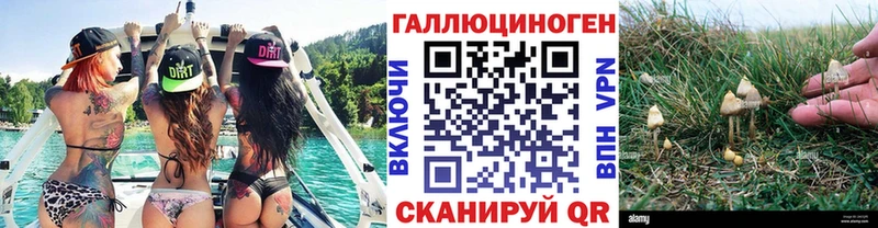 Галлюциногенные грибы мицелий Видное