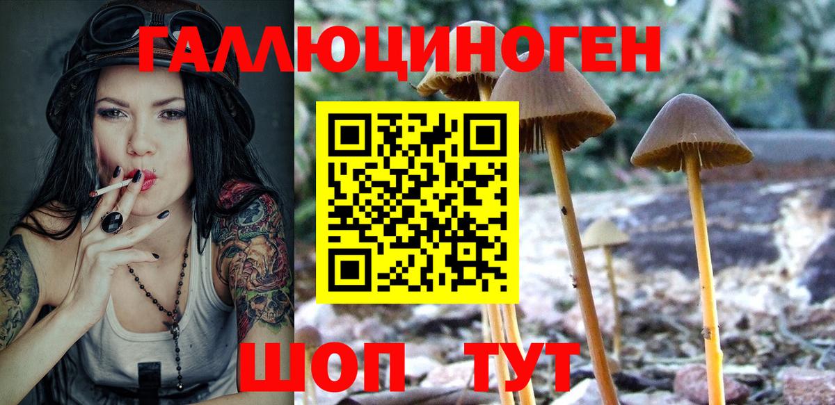 Галлюциногенные грибы MAGIC MUSHROOMS  где продают   Видное  Галлюциногенные грибы прущие грибы  Вход с VPN 